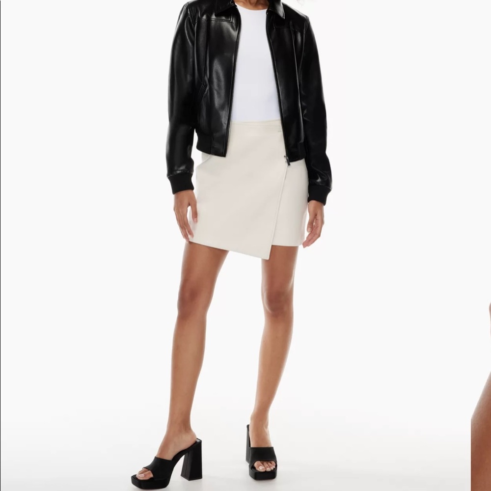 Aritzia Babaton Vicinity skirt